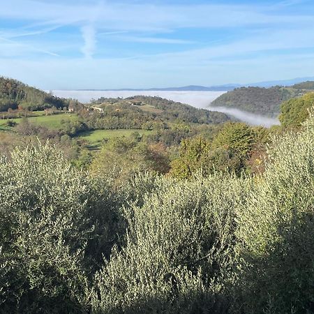 Agriturismo Ai Gradoni Teolo Exteriér fotografie