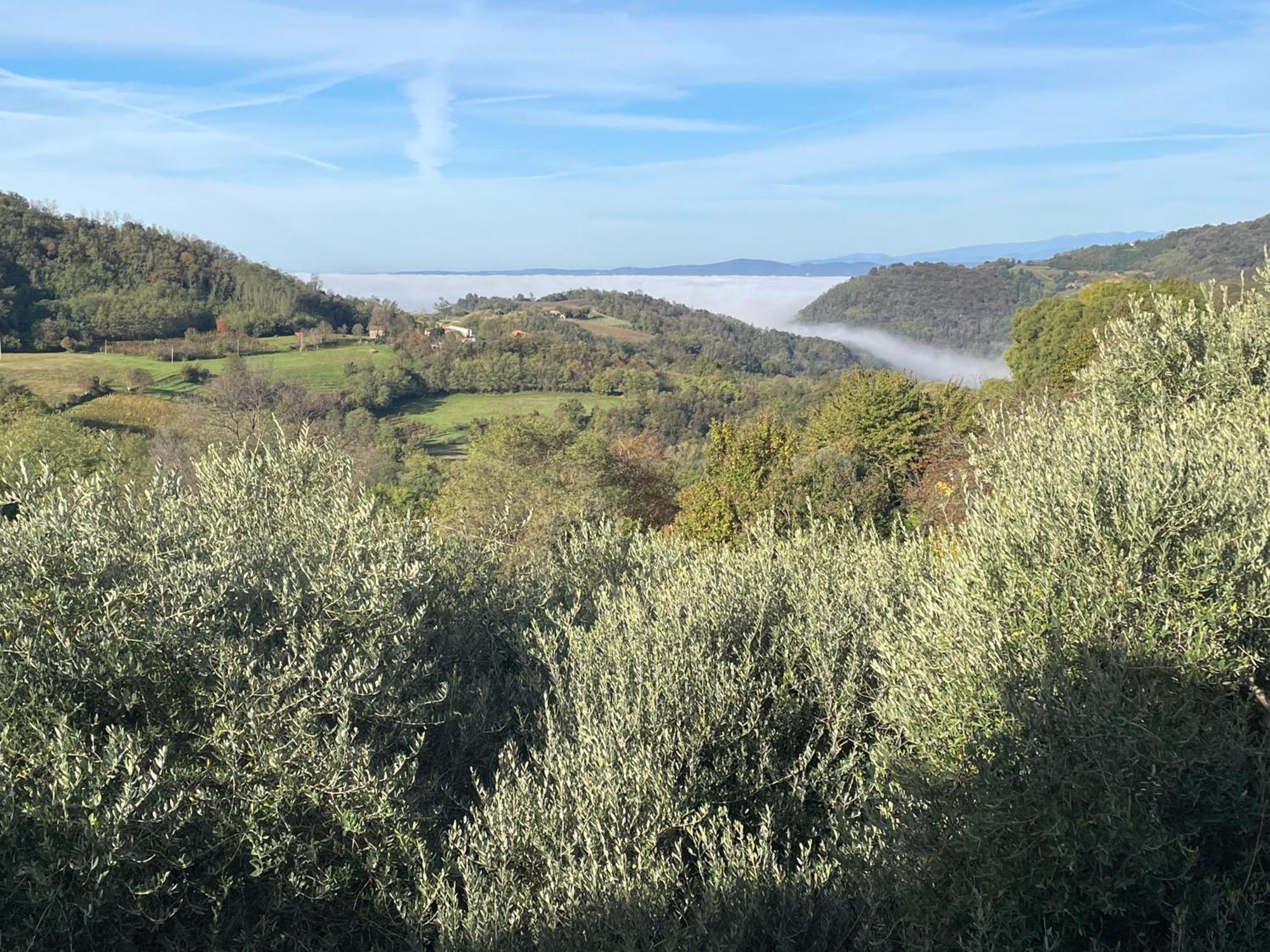Agriturismo Ai Gradoni Teolo Exteriér fotografie